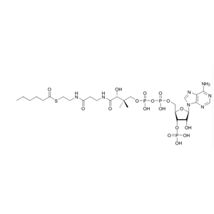 己酰辅酶A（钠盐）Hexanoyl-CoA-sodium-salt