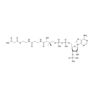 丙二酰輔酶A（鋰鹽）,MALONYL COENZYME A LITHIUM SALT