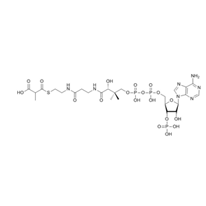 甲基丙二酰辅酶A（钠盐）methylmalonyl-coenzyme A 1264-45-5