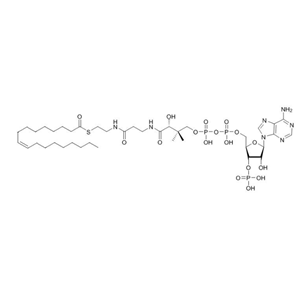 油酰輔酶A（鈉鹽) Oleoyl coenzyme A 188824-37-5