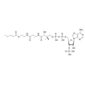 戊酰辅酶A（钠盐）Pentanoyl-CoA-sodium-salt