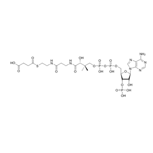 琥珀酰辅酶A（钠盐）SUCCINYL COENZYME A SODIUM SALT 108347-97-3