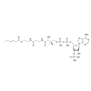 反式-3-己烯酰辅酶A（钠盐）trans-3-Hexenoyl-CoA-sodium-salt