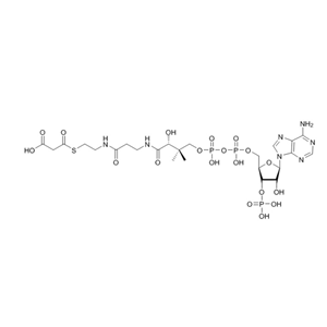 丙二酰輔酶A（鈉鹽) S-(hydrogen malonyl)coenzyme A524-14-1