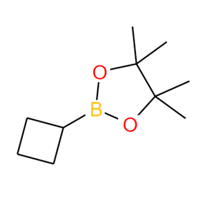 环丁基硼酸频哪醇酯,Cyclobutylboronic acid pinacol ester