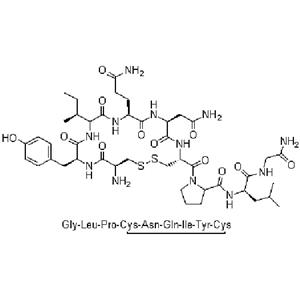 缩宫素杂质,Oxytocin impurity