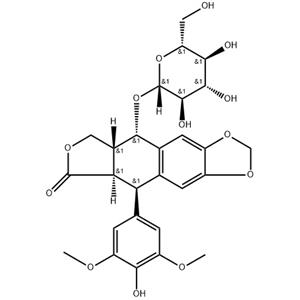依托泊苷/替尼泊苷中间体,Etoposide/ Teniposide intermediate