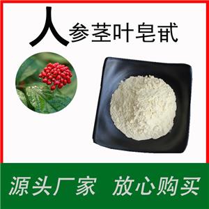 人參莖葉皂苷80% 人參莖葉提取物 易水溶 食品級(jí)人參粉