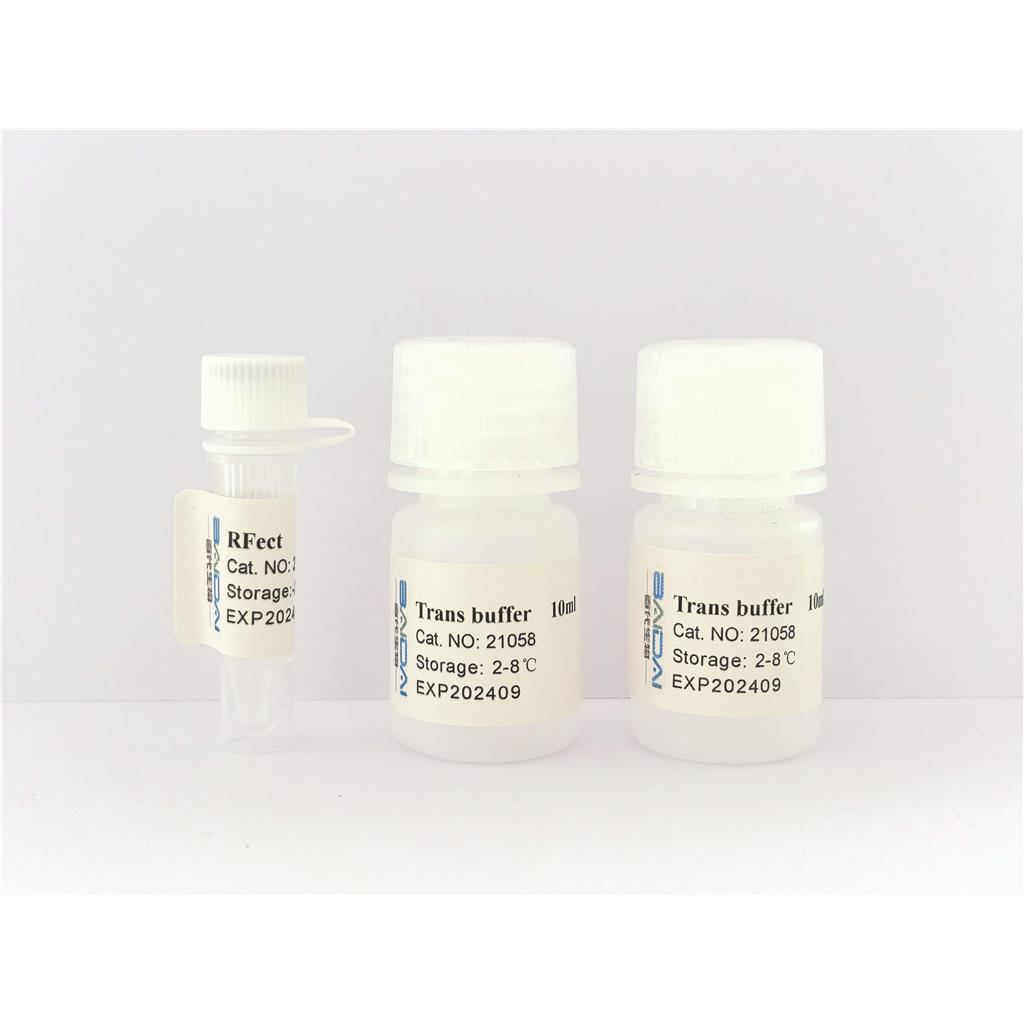 RFect mRNA轉(zhuǎn)染試劑盒,RFect mRNA Transfection Reagent