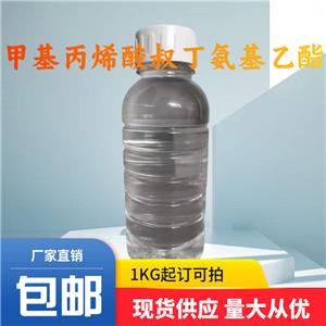 甲基丙烯酸叔丁氨基乙酯,2-(tert-Butylamino)ethyl methacrylate