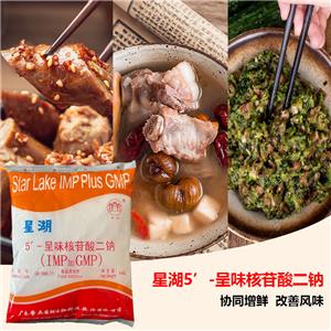 食品级增味剂呈味核苷酸二钠i+g食品级增味剂 I+G  高纯度可开票 12111-11-4