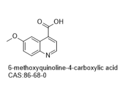 6-methoxyquinoline-4-carboxylic acid,6-methoxyquinoline-4-carboxylic acid