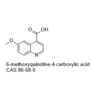 6-methoxyquinoline-4-carboxylic acid,6-methoxyquinoline-4-carboxylic acid