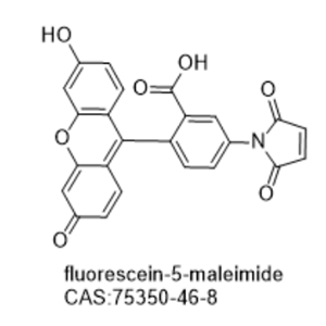 fluorescein-5-maleimide