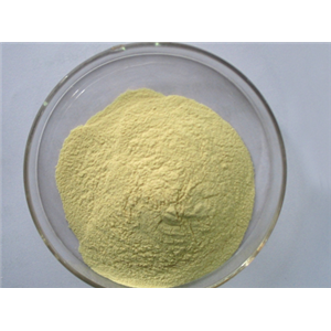 2-氯-5-甲基-1,4-苯二胺,2-Chloro-5-methyl-1,4-phenylenediamine