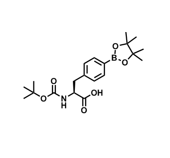 (S)-2-((叔丁氧羰基)氨基)-3-(4-(4,4,5,5-四甲基-1,3,2-二氧硼杂环戊烷-2-基)苯基)丙酸,(S)-2-((tert-Butoxycarbonyl)amino)-3-(4-(4,4,5,5-tetramethyl-1,3,2-dioxaborolan-2-yl)phenyl)propanoic acid