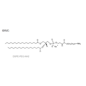 DSPE-PEG-NH2   分子量：1k，2k，3.4k，5k，10k，20k（可定制）