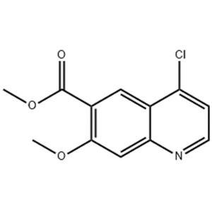 4-氯-7-甲氧基喹啉-6-羧酸甲酯