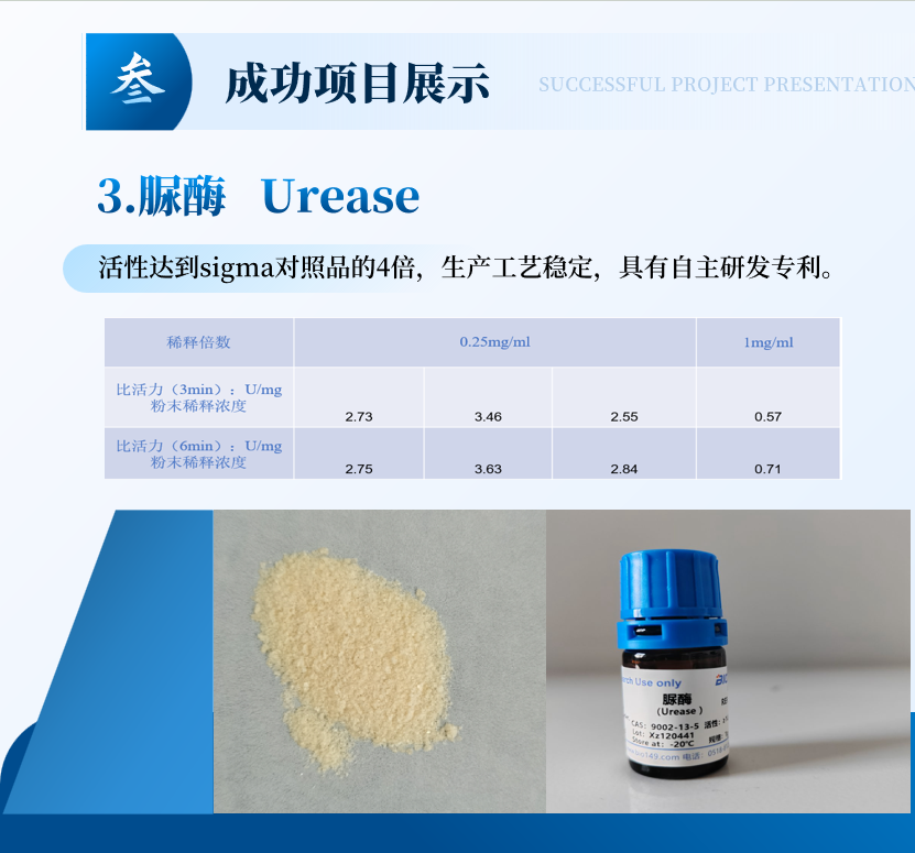 脲酶,Urease