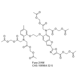 Fura-2/AM