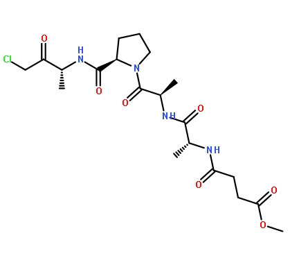 嘌呤核苷磷酸化酶,NUCLEOSIDE PHOSPHORYLASE