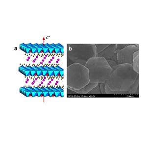 镁锌铝碳酸根型三元水滑石试剂,Aluminate (Al(OH)63-), (OC-6-11)-, magnesium zinc carbonate (2:3:1:1