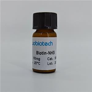 生物素N-羟基琥珀酰亚胺,Biotin-NHS