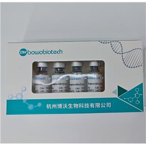 耐碱蛋白A,Alkaline-resistant Protein A