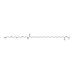 氨基-PEG3-酰胺-C18-叔丁酯,Amino-PEG3-NHCO-C18-t-butyl ester