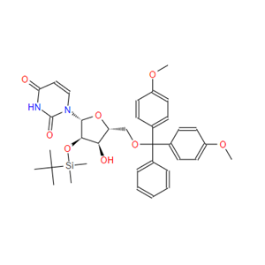 5'-DMT-2'-TBDMS-尿苷