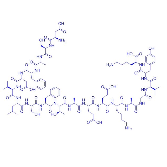 心肌肌球蛋白重鏈片段多肽334-352,Myhc-α(334–352)