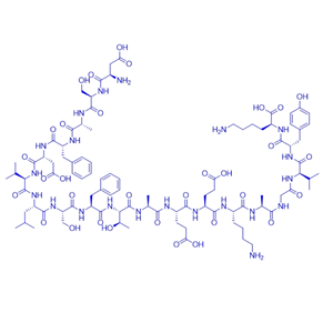 心肌肌球蛋白重鏈片段多肽334-352/171675-09-5/Myhc-α(334–352)