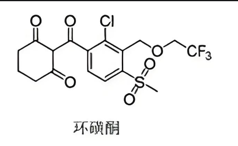 環(huán)磺酮酸,2-chloro-4-methanesulfonyl-3-[(2,2,2-trifluoroethoxy)methyl]benzoic acid