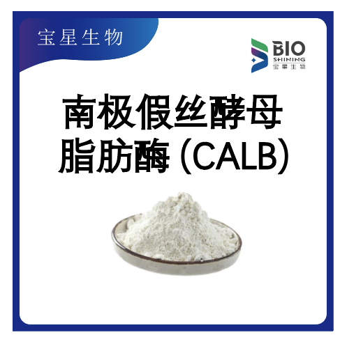 南極假絲酵母脂肪酶B（CALB，固定化酶）,Candida antarctica lipase B