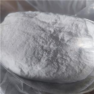 鹽酸二甲雙胍,Metformin Hydrochloride