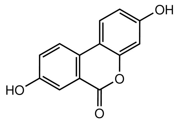 尿石素A