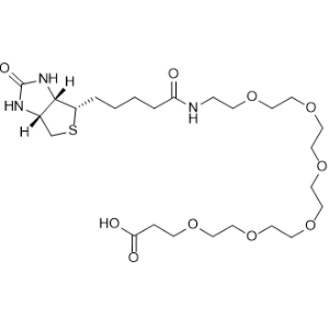 Biotin-PEG6-COOH,(+)-Biotin-PEG6-acid