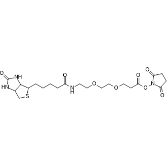 Biotin-PEG2-NHS ester,(+)-Biotin-PEG2-NHS Ester