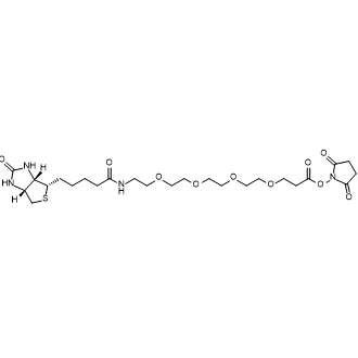 Biotin-PEG4-NHS ester,(+)-Biotin-PEG4-NHS Ester