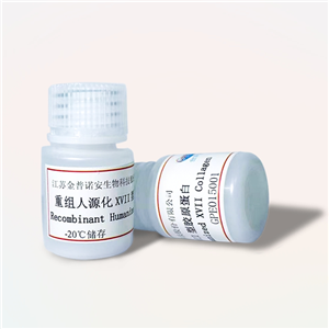 重组人源化XVII型胶原蛋白（Recombinant Humanized XVII Collagen）