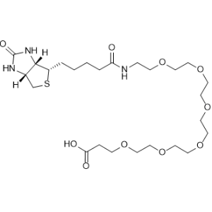 Biotin-PEG6-COOH