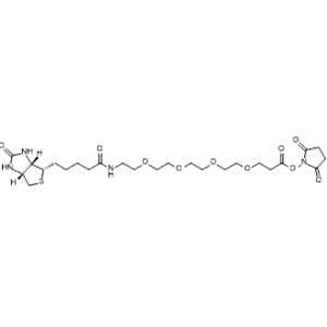 Biotin-PEG4-NHS ester