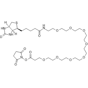 Biotin-PEG8-NHS ester