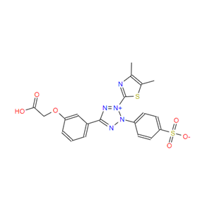 5-[3-(羧基甲氧基)苯基]-3-(4,5-二甲基-2-噻唑基)-2-(4-磺基苯基)-2H-四唑内盐