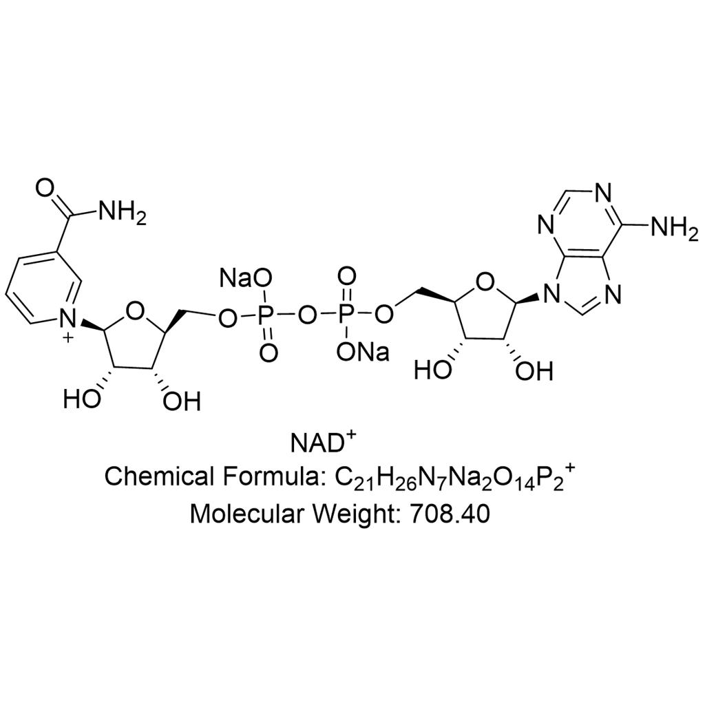 β-煙酰胺腺嘌呤二核苷酸,β-Nicotinamide Adenine Dinuclotide