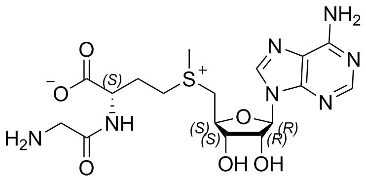 丁二磺酸腺苷蛋氨酸杂质II；5'-[[(3R)-3-[(2-氨基乙酰基)氨基]-3-羧丙基]甲基锍]-5'-脱氧腺苷,Methionine Impurity 18