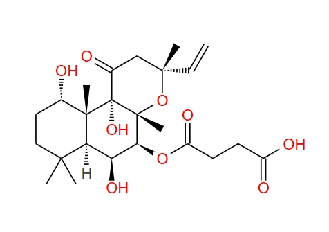 福斯高林7-O-半琥珀酰-7-脱乙酰基,FORSKOLIN, 7-DEACETYL-7-O-HEMISUCCINYL-