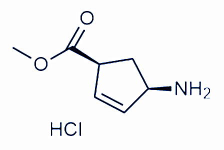 (1S,4R)-4-甲基環(huán)戊-2-烯甲酸甲酯鹽酸鹽,methyl (1S,4R)-4-aminocyclopent-2-ene-1-carboxylate hydrochloride