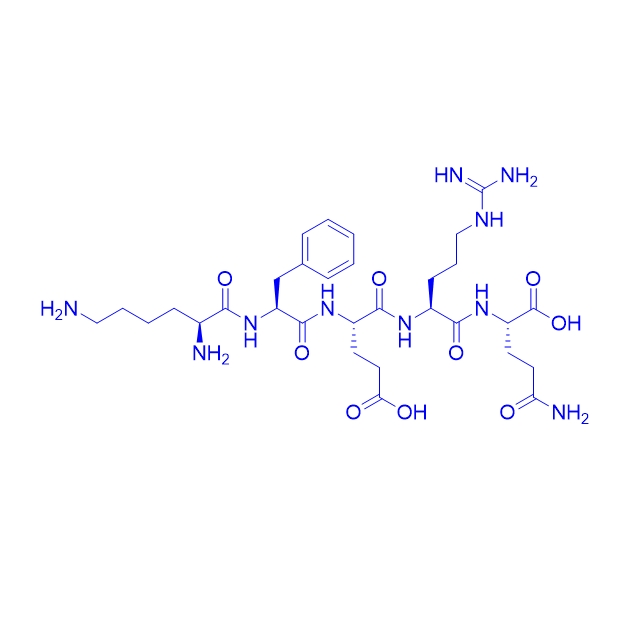 五肽KFERQ,Lys-Phe-Glu-Arg-Gln