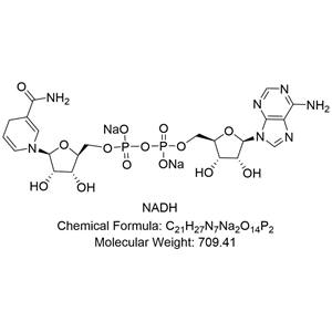 NADH；β-還原型煙酰胺腺嘌呤二核苷酸；還原型輔酶 I